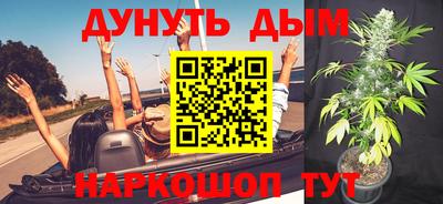 дмт Дубна