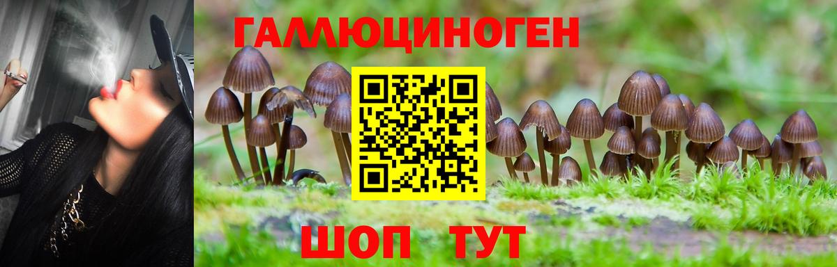 Галлюциногенные грибы мицелий Полысаево